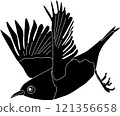 Silhouette of a Japanese white-eye flying with its wings spread 121356658