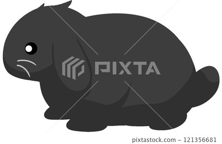 Dwarf Lop Ear Dwarf Lop Ear 121356681