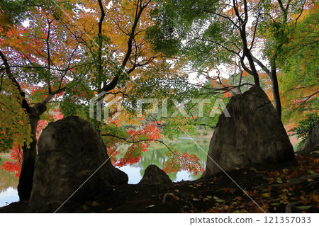 Autumn leaves at the maple bank of South Lake, Ritsurin Garden 121357033