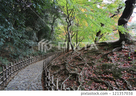 栗林公園、南湖楓葉岸邊小徑和秋葉 121357038