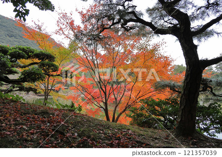 Ritsurin Garden, Autumn leaves on the South Lake maple bank and Kikugetsutei Ritsurin Garden, Autumn leaves on the South Lake maple bank and Kikugetsutei 121357039