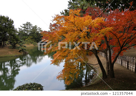 栗林公園南花園南湖、楓岸秋葉和迎順橋 栗林公園南花園南湖、楓岸秋葉和迎順橋 121357044