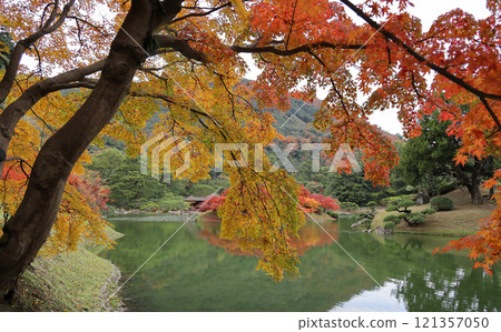 栗林公園南花園南湖、楓堤、楓島秋葉、鬼月亭 栗林公園南花園南湖、楓堤、楓島秋葉、鬼月亭 121357050