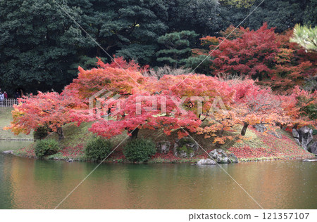 栗林公園南湖、紅葉楓島、楓堤 栗林公園南湖、紅葉楓島、楓堤 121357107