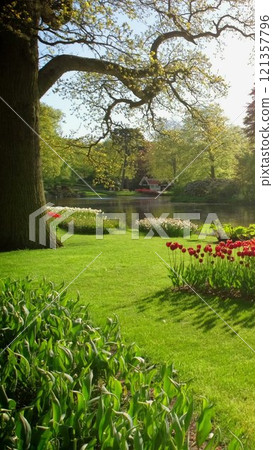 Keukenhof flower garden with blooming tulip flowerbeds and fountain. One of the world's largest flower gardens. Lisse, the Netherlands. 121357796
