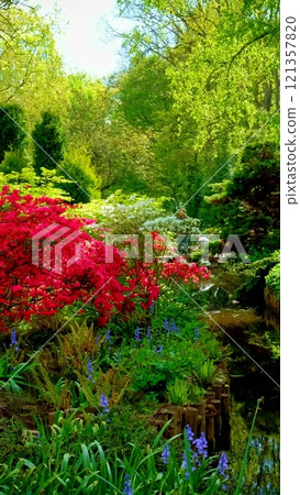 Keukenhof flower garden, also known as the Garden of Europe. One of the world's largest flower gardens. Lisse, the Netherlands. Keukenhof flower garden, also known as the Garden of Europe. One of the world's largest flower gardens. Lisse, the Netherlands. 121357820