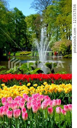 Keukenhof flower garden with blooming tulip flowerbeds. One of the world's largest flower gardens. Lisse, the Netherlands. Keukenhof flower garden with blooming tulip flowerbeds. One of the world's largest flower gardens. Lisse, the Netherlands. 121357836