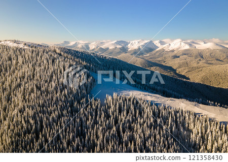 Aerial view of winter landscape with mountain hills covered with evergreen pine forest after heavy snowfall on cold bright day. 121358430