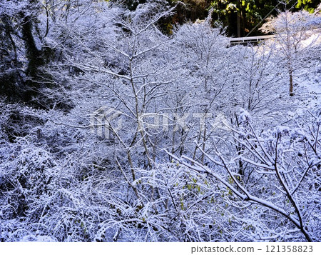 Snow-covered Iya Snow-covered Iya 121358823