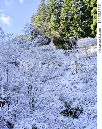 Snow-covered Iya Snow-covered Iya 121358826