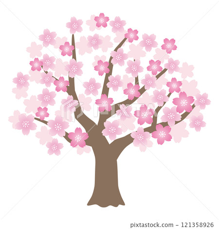 櫻花矢量插畫 121358926