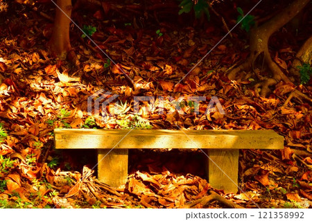 Autumn sunlight filtering through the trees and a bench covered in fallen leaves Autumn sunlight filtering through the trees and a bench covered in fallen leaves 121358992