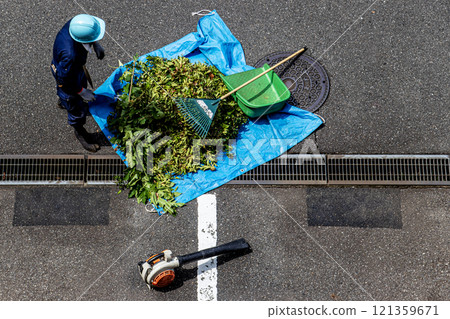 A gardener in a helmet and work clothes is collecting pruned twigs and wrapping them in a plastic sheet. A gardener in a helmet and work clothes is collecting pruned twigs and wrapping them in a plastic sheet. 121359671