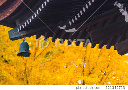 241127 飛驒國分寺 g070 241127 飛驒國分寺 g070 121359713