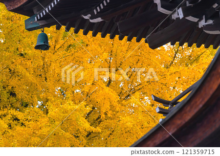 241127 飛驒國分寺 g074 121359715