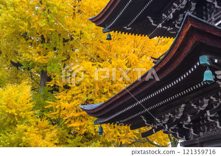 241127 飛驒國分寺 g080 121359716