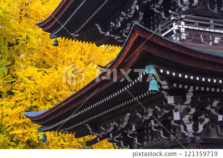 241127 Hida Kokubunji g091 121359719