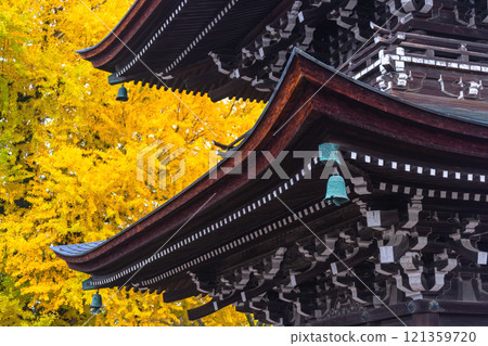 241127 Hida Kokubunji g092 241127 Hida Kokubunji g092 121359720