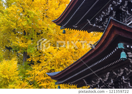 241127 飛驒國分寺 g101 121359722