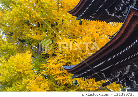 241127 Hida Kokubunji G106 121359723