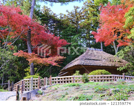 Thatched roofs of Korakuen Thatched roofs of Korakuen 121359774