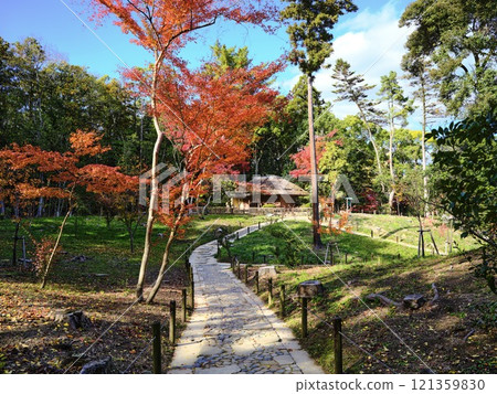 Okayama Korakuen Autumn leaves 121359830