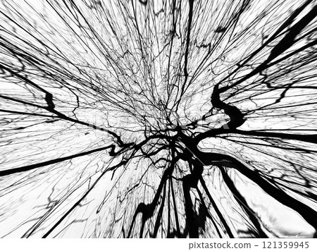 Abstract pattern of tree branches 121359945