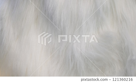 An up-close view of soft white fur with a silky texture, showing subtle gradients of light and shadow that give it depth and realism. 121360216