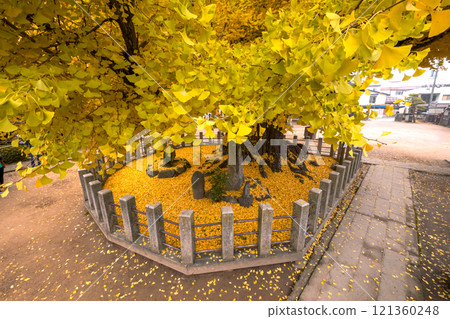 241203 Hida Kokubunji s068 121360248