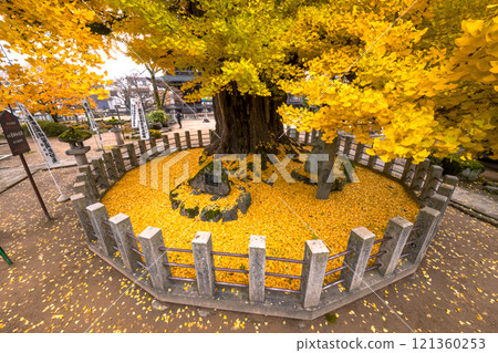 241203飛驒國分寺s087 121360253