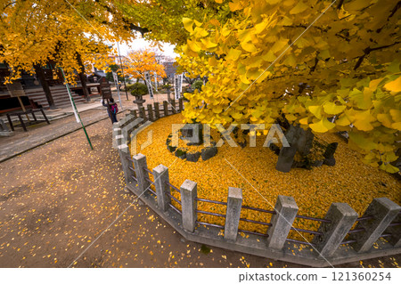 241203飛驒國分寺s088 121360254