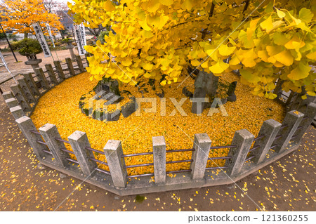 241203飛驒國分寺s092 121360255