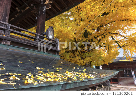 241203 Hida Kokubunji z001 121360261