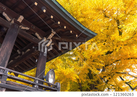 241203飛驒國分jiz006 241203飛驒國分jiz006 121360263