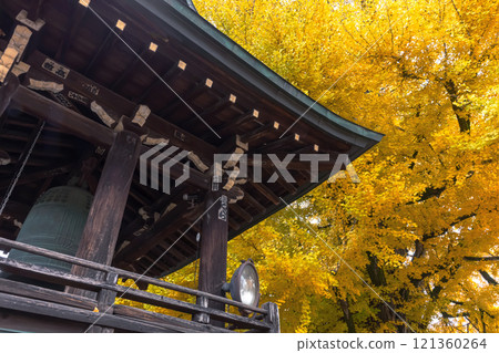 241203飛驒國分jiz007 121360264