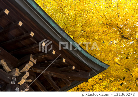 241203 Hida Kokubunji z047 121360278