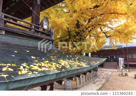 241203 Hida Kokubunji z059 121360283