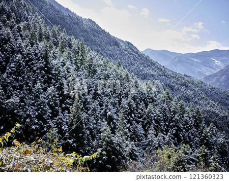 祖谷有雪 121360323