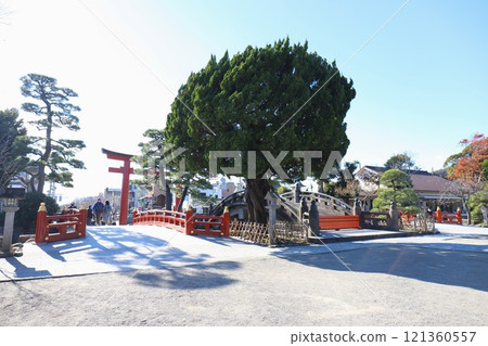 鶴岡八幡神社境內(三鳥居、太鼓橋) 鶴岡八幡神社境內(三鳥居、太鼓橋) 121360557