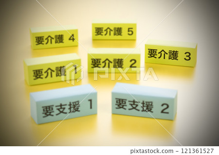 Nursing care system: Level 3 of nursing care required 121361527