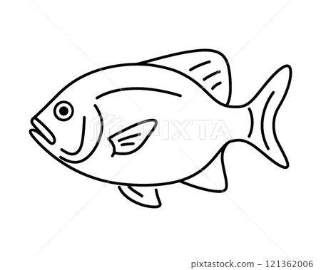 簡單的手繪線條畫魚插圖，在透明背景上剪出 121362006