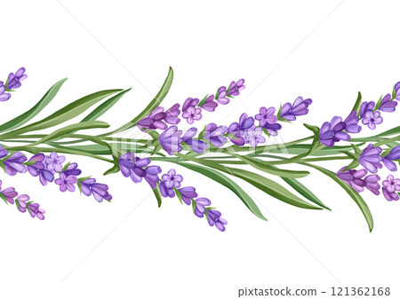 Lavender flowers. Hand drawn floral seamless border illustration 121362168