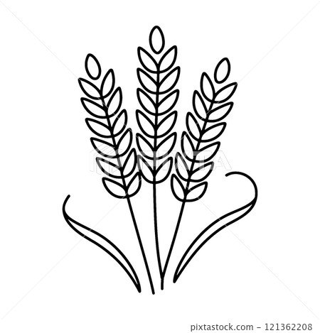 Simple hand-drawn line drawing illustration of wheat ears, cut out on transparent background 121362208