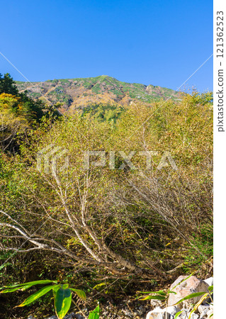 View of Mt. Jonen and autumn leaves from Ichinosawa, Northern Alps, Mt. Daitenjo Panorama Ginza Traverse 121362523