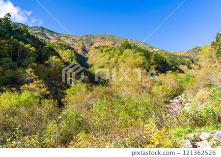 View of Mt. Jonen and autumn leaves from Ichinosawa, Northern Alps, Mt. Daitenjo Panorama Ginza Traverse 121362526