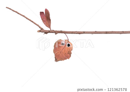 當小芥子吹起時 當小芥子吹起時 121362578