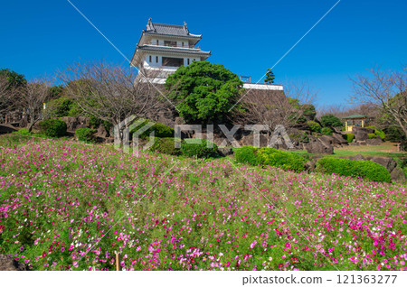 Takezaki Castle Observatory and Cosmos Fields 121363277