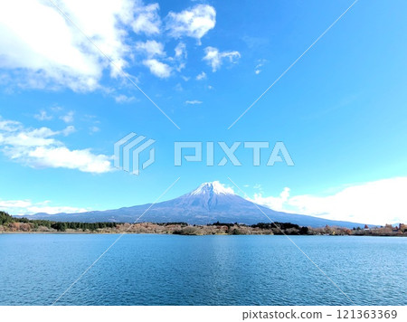Snowy Mount Fuji and Lake Tanuki 121363369