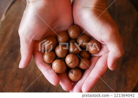 新鮮收穫的澳洲堅果 121364042