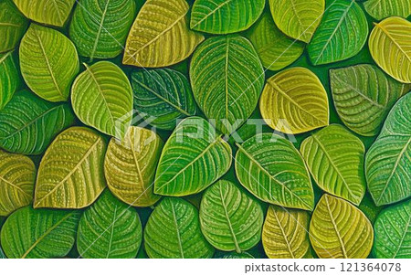 五顏六色的樹葉鋪滿了 121364078